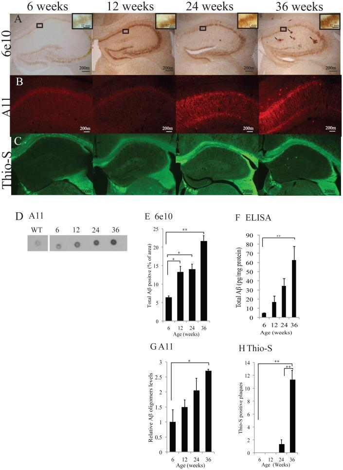 https://cdn.ncbi.nlm.nih.gov/pmc/blobs/2171/3613362/3831aca12358/pone.0059586.g001.jpg