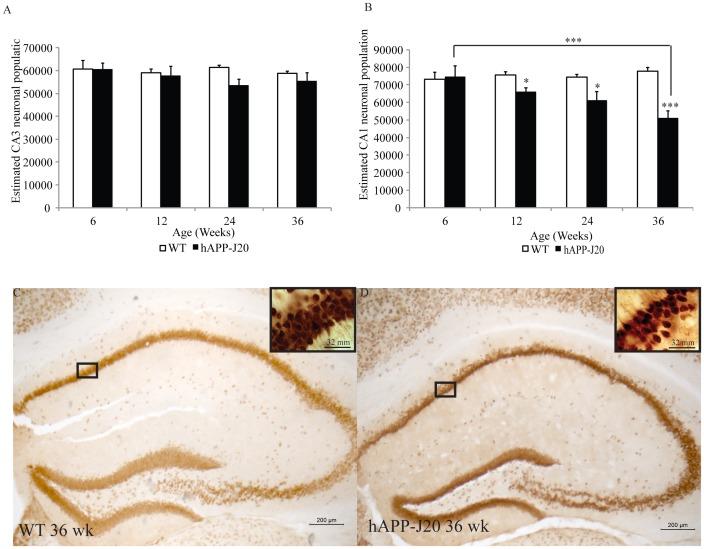 https://cdn.ncbi.nlm.nih.gov/pmc/blobs/2171/3613362/4c463e905c93/pone.0059586.g002.jpg