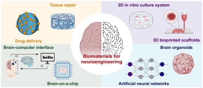 https://cdn.ncbi.nlm.nih.gov/pmc/blobs/2174/11855295/6494740db775/rbae137f12.jpg