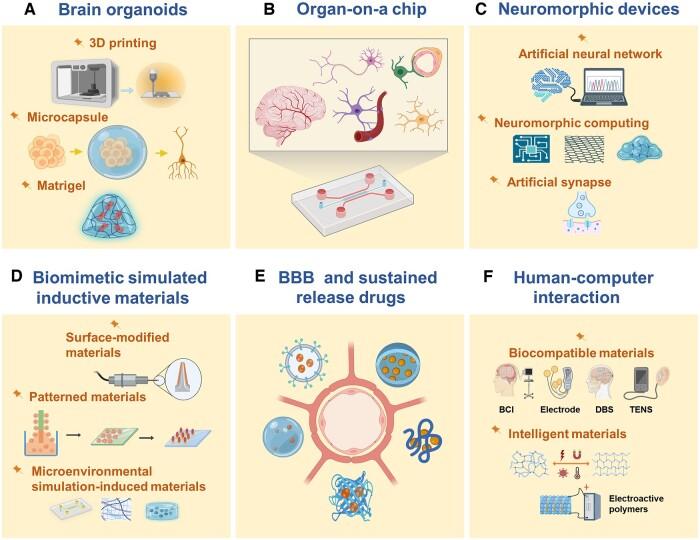https://cdn.ncbi.nlm.nih.gov/pmc/blobs/2174/11855295/7c40a8f7648a/rbae137f1.jpg