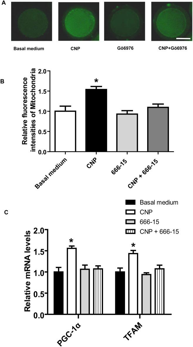 https://cdn.ncbi.nlm.nih.gov/pmc/blobs/2177/11250819/7da5c41cddf9/41598_2024_67094_Fig4_HTML.jpg