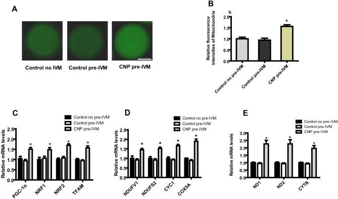 https://cdn.ncbi.nlm.nih.gov/pmc/blobs/2177/11250819/ff2695c36937/41598_2024_67094_Fig1_HTML.jpg