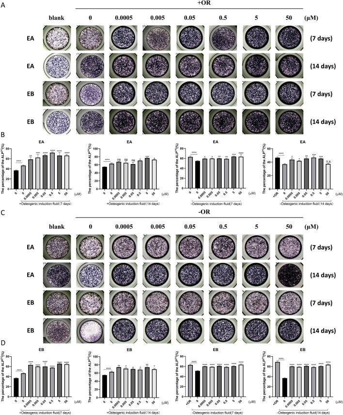 https://cdn.ncbi.nlm.nih.gov/pmc/blobs/2178/12264438/0cd79d233797/fphar-16-1532665-g004.jpg