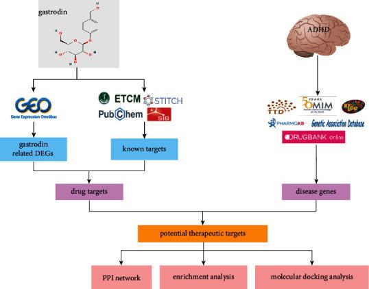 https://cdn.ncbi.nlm.nih.gov/pmc/blobs/2178/9484880/5c1e82772ab4/ECAM2022-3607053.001.jpg