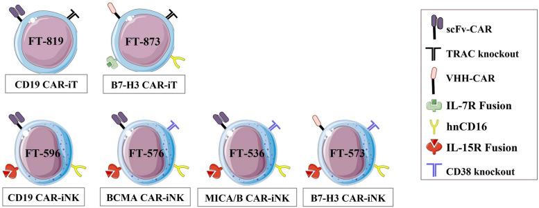 https://cdn.ncbi.nlm.nih.gov/pmc/blobs/2179/10163725/3e83ac2c0bbd/40364_2023_482_Fig2_HTML.jpg