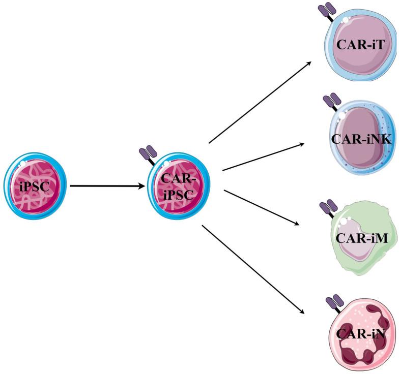 https://cdn.ncbi.nlm.nih.gov/pmc/blobs/2179/10163725/b1660fca280b/40364_2023_482_Fig1_HTML.jpg