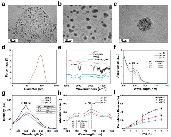 https://cdn.ncbi.nlm.nih.gov/pmc/blobs/2179/11124998/8d02e0bde56a/pharmaceutics-16-00639-g001.jpg