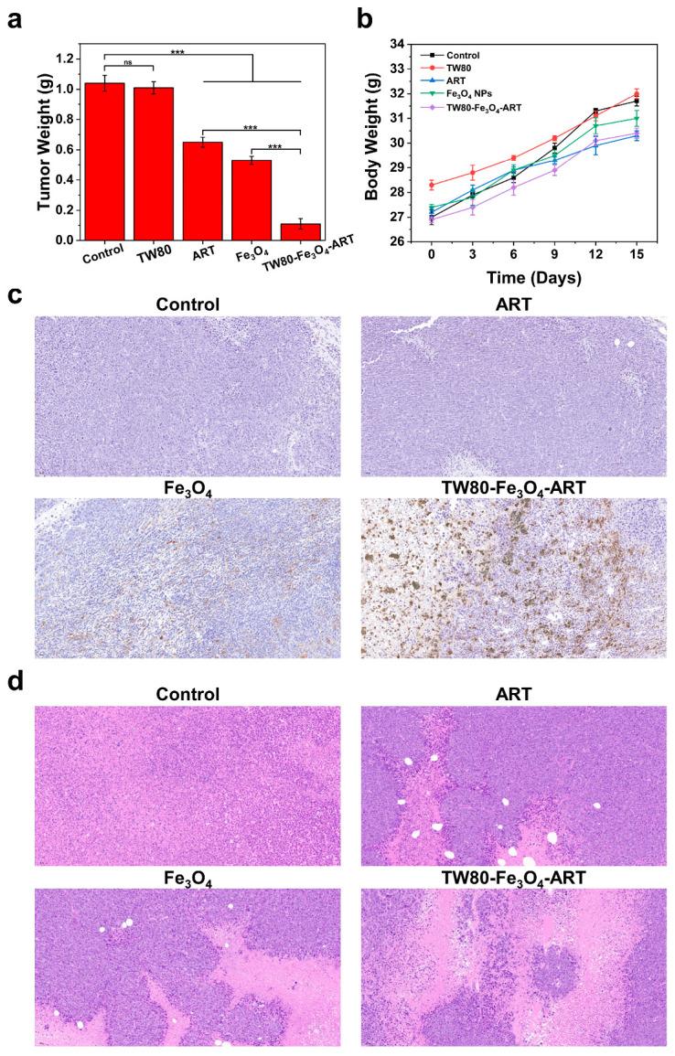https://cdn.ncbi.nlm.nih.gov/pmc/blobs/2179/11124998/f2d29034227e/pharmaceutics-16-00639-g005.jpg