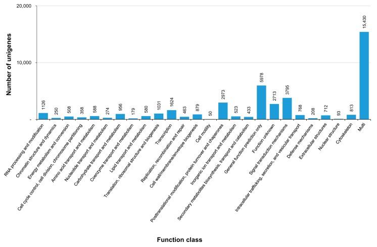 https://cdn.ncbi.nlm.nih.gov/pmc/blobs/2179/4962005/990a8760c221/genes-07-00035-g006.jpg