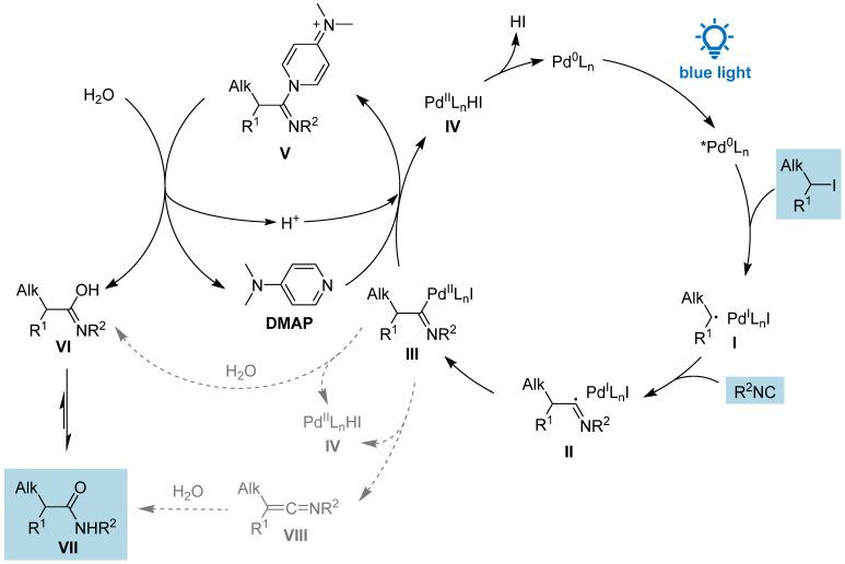 https://cdn.ncbi.nlm.nih.gov/pmc/blobs/217a/12196398/a9a77dc47778/molecules-30-02584-sch002.jpg