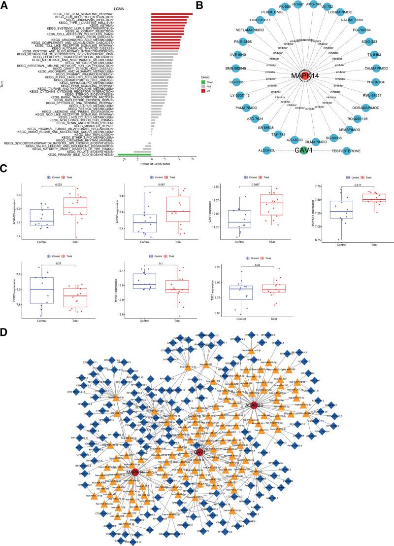 https://cdn.ncbi.nlm.nih.gov/pmc/blobs/217b/11441859/b41b313e015e/medi-103-e39777-g006.jpg