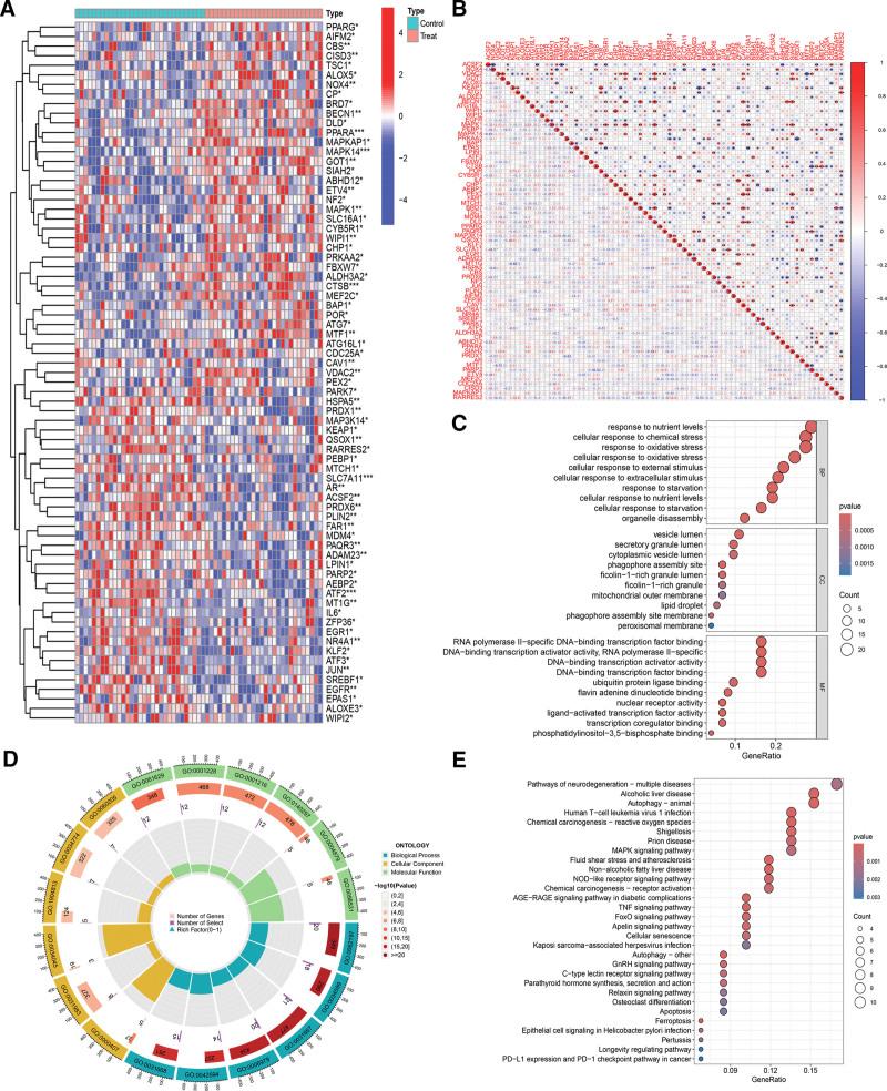 https://cdn.ncbi.nlm.nih.gov/pmc/blobs/217b/11441859/f742c48b72a1/medi-103-e39777-g002.jpg