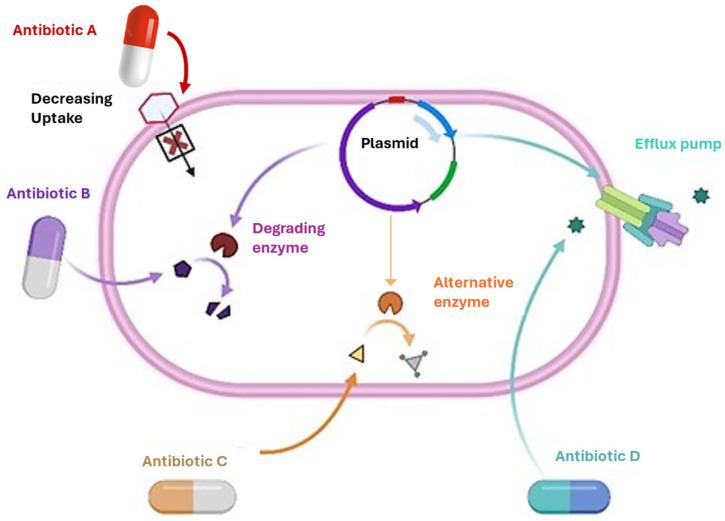 https://cdn.ncbi.nlm.nih.gov/pmc/blobs/2182/11944582/8e02dec79a78/pharmaceuticals-18-00402-g001.jpg