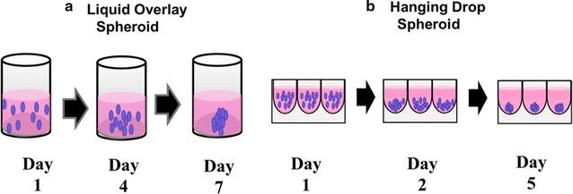 https://cdn.ncbi.nlm.nih.gov/pmc/blobs/2183/5629750/47049c24c5ee/12951_2017_298_Fig7_HTML.jpg
