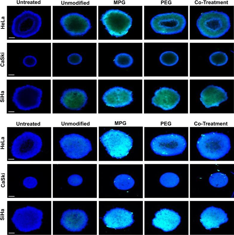 https://cdn.ncbi.nlm.nih.gov/pmc/blobs/2183/5629750/68ea4f95862a/12951_2017_298_Fig3_HTML.jpg