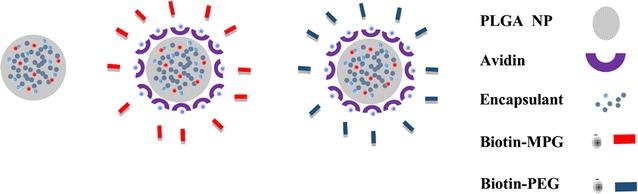 https://cdn.ncbi.nlm.nih.gov/pmc/blobs/2183/5629750/db4398705d12/12951_2017_298_Fig1_HTML.jpg