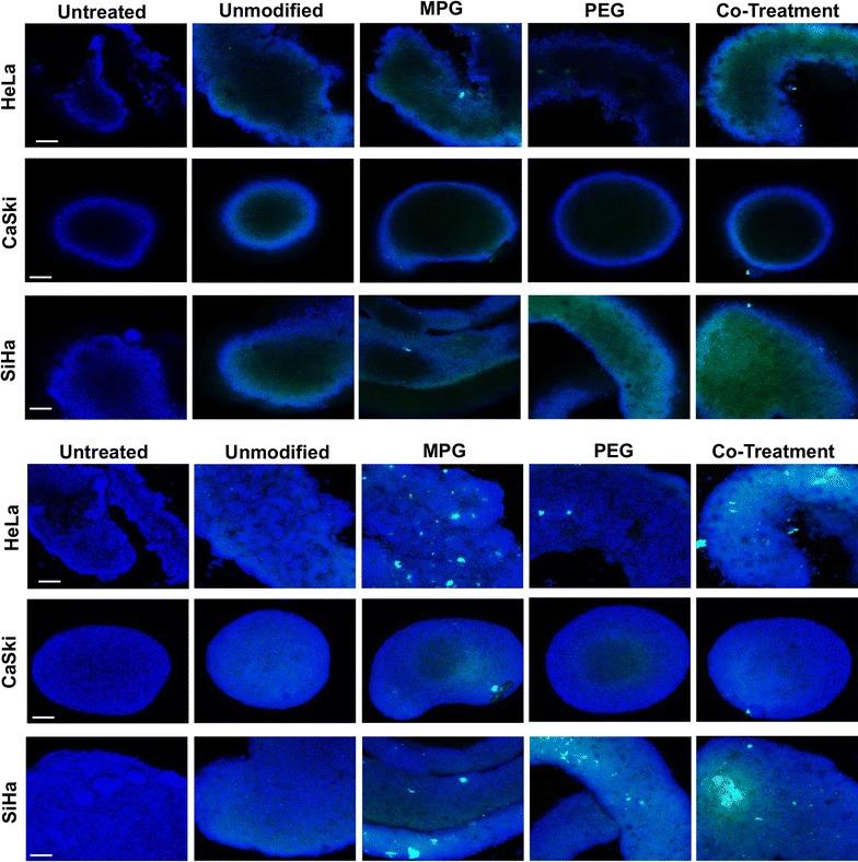 https://cdn.ncbi.nlm.nih.gov/pmc/blobs/2183/5629750/eb02615e3511/12951_2017_298_Fig2_HTML.jpg