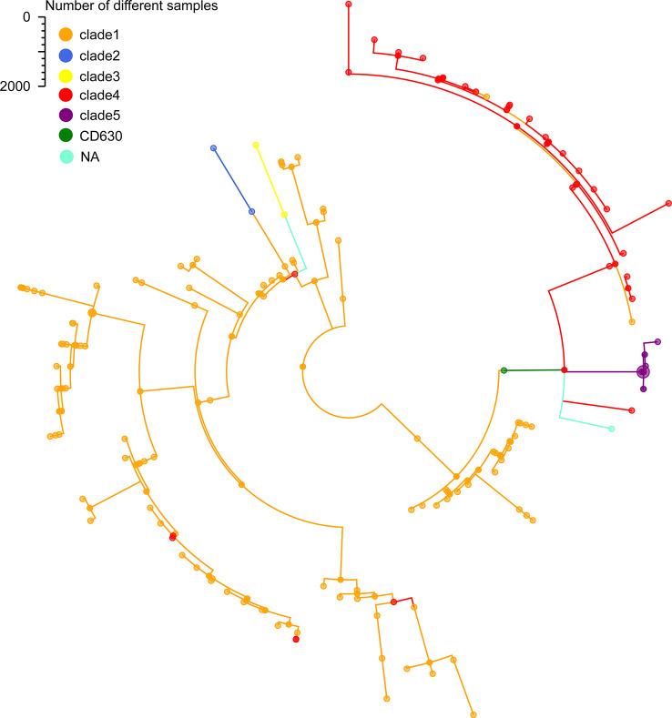 https://cdn.ncbi.nlm.nih.gov/pmc/blobs/2187/10040748/4768910db929/fcimb-13-1109153-g003.jpg