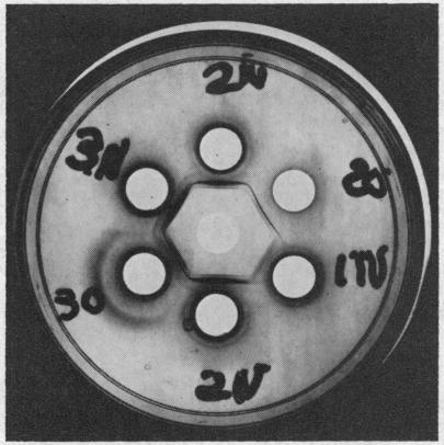 https://cdn.ncbi.nlm.nih.gov/pmc/blobs/2187/292498/5f9046a65551/jcinvest00251-0149-a.jpg