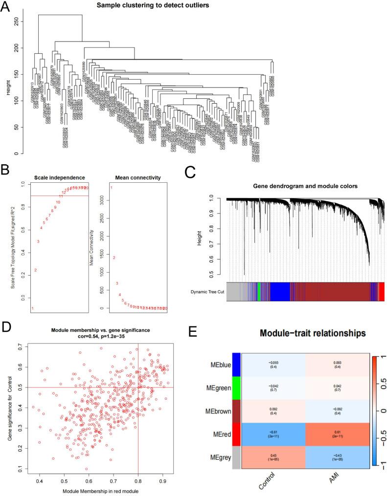 https://cdn.ncbi.nlm.nih.gov/pmc/blobs/2189/12034215/c7ece763ae2f/41065_2025_424_Fig2_HTML.jpg