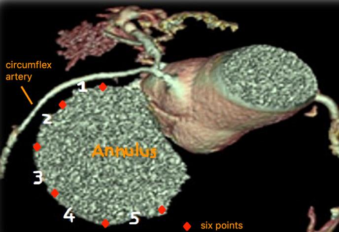https://cdn.ncbi.nlm.nih.gov/pmc/blobs/2189/8306627/5367f7dde4d1/fx2.jpg