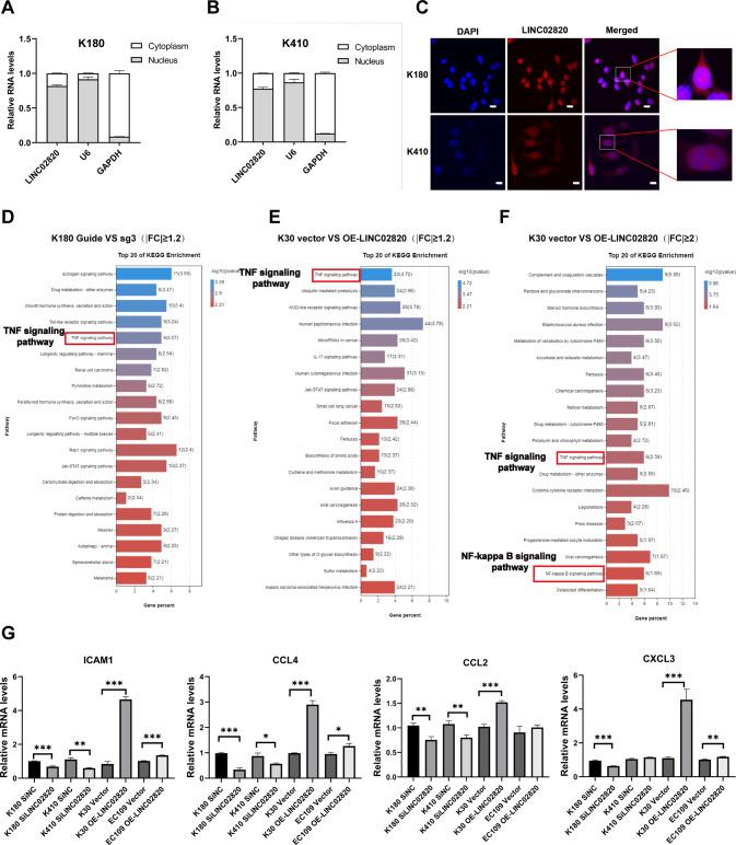 https://cdn.ncbi.nlm.nih.gov/pmc/blobs/2189/9935391/8cd2a2c46b93/41417_2022_554_Fig4_HTML.jpg