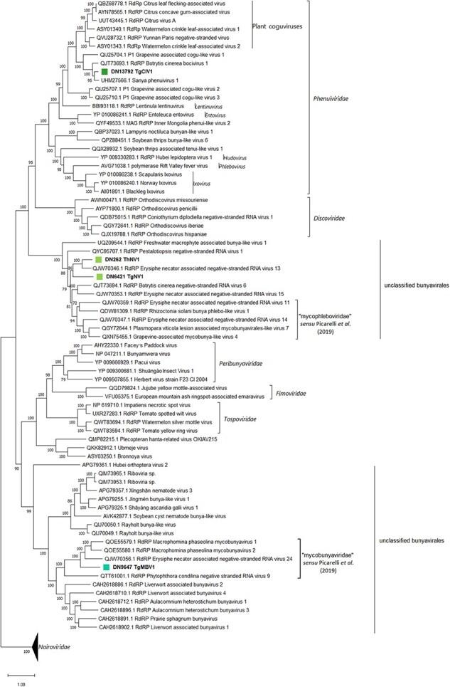 https://cdn.ncbi.nlm.nih.gov/pmc/blobs/218c/10491862/872940051f7c/vead042f3.jpg