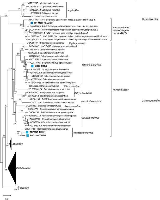https://cdn.ncbi.nlm.nih.gov/pmc/blobs/218c/10491862/8c727e6d737c/vead042f5.jpg