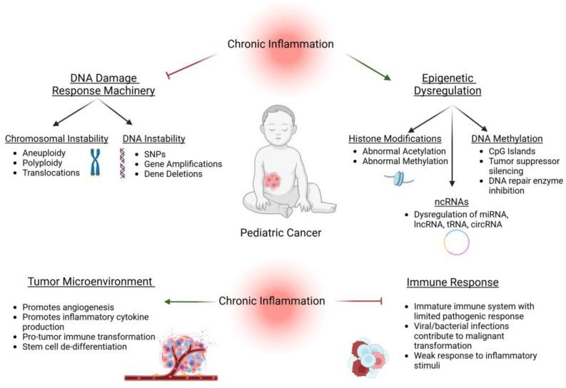 https://cdn.ncbi.nlm.nih.gov/pmc/blobs/218e/11719864/5c3322afb293/cancers-17-00154-g001.jpg