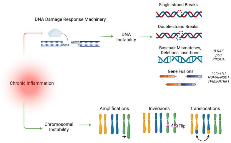 https://cdn.ncbi.nlm.nih.gov/pmc/blobs/218e/11719864/c813a28b1cc6/cancers-17-00154-g002.jpg