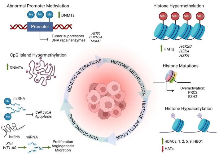 https://cdn.ncbi.nlm.nih.gov/pmc/blobs/218e/11719864/e36abf716254/cancers-17-00154-g003.jpg