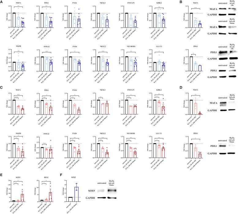 https://cdn.ncbi.nlm.nih.gov/pmc/blobs/218e/8601632/310927ac78f1/fimmu-12-690379-g002.jpg