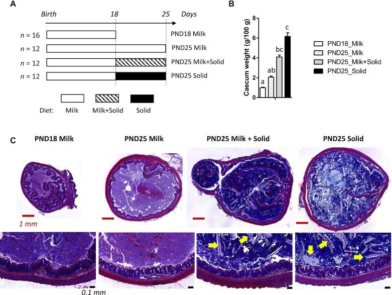 https://cdn.ncbi.nlm.nih.gov/pmc/blobs/218e/8891179/6884e561b29a/nxab411fig1.jpg