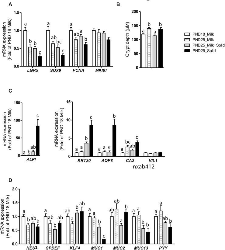 https://cdn.ncbi.nlm.nih.gov/pmc/blobs/218e/8891179/90d496d70dfa/nxab411fig6.jpg