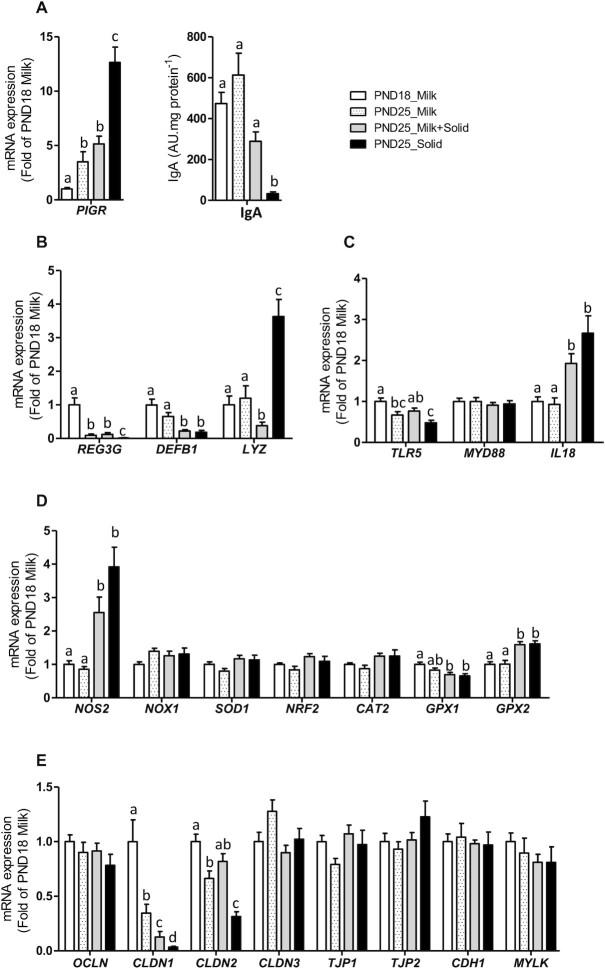 https://cdn.ncbi.nlm.nih.gov/pmc/blobs/218e/8891179/e089087b49ce/nxab411fig7.jpg