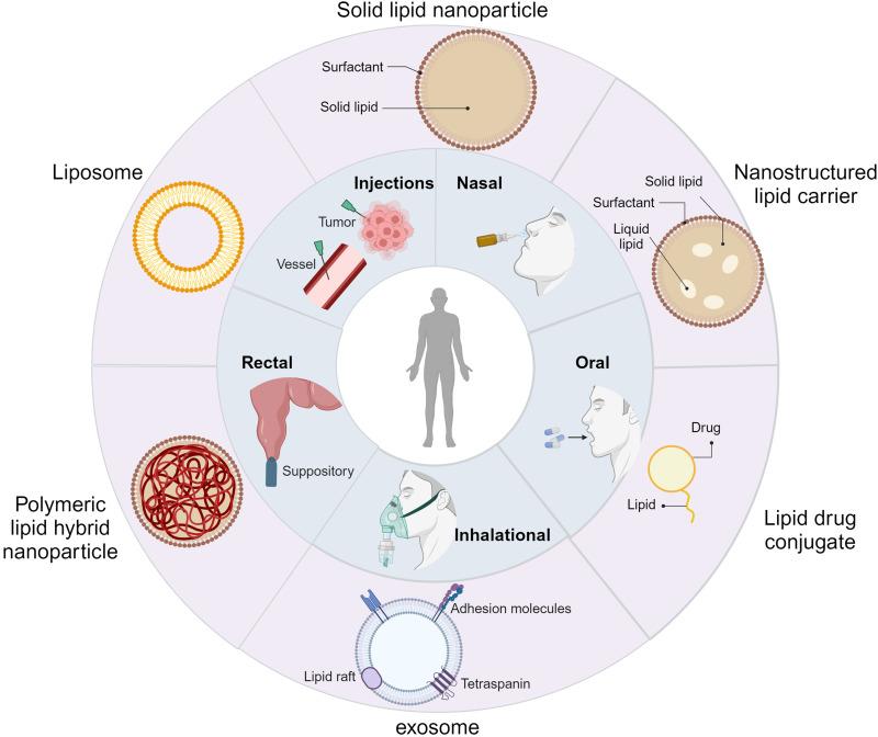 https://cdn.ncbi.nlm.nih.gov/pmc/blobs/218f/11229238/3d53d375c4c9/IJN-19-6693-g0001.jpg