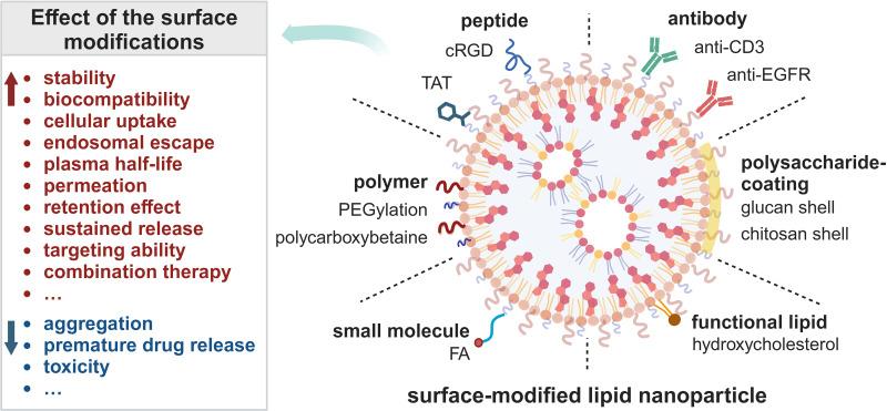 https://cdn.ncbi.nlm.nih.gov/pmc/blobs/218f/11229238/a5141f1fa387/IJN-19-6693-g0003.jpg