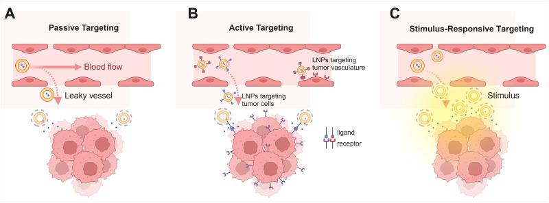 https://cdn.ncbi.nlm.nih.gov/pmc/blobs/218f/11229238/a5c6e7e1a56e/IJN-19-6693-g0006.jpg