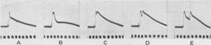 https://cdn.ncbi.nlm.nih.gov/pmc/blobs/2191/1394982/b6393cb29c20/jphysiol01575-0108-a.jpg