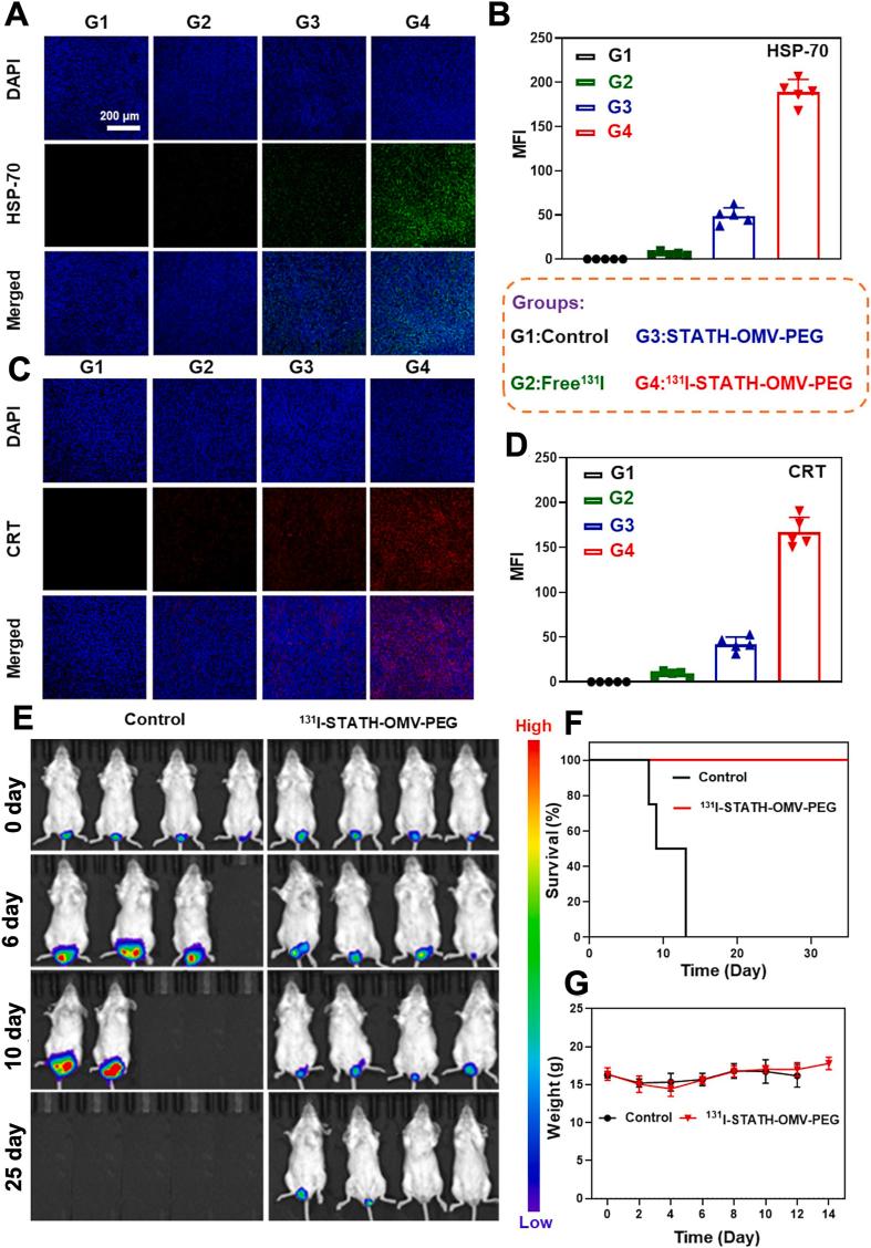 https://cdn.ncbi.nlm.nih.gov/pmc/blobs/2192/12355509/20e9f6d15adc/gr7.jpg