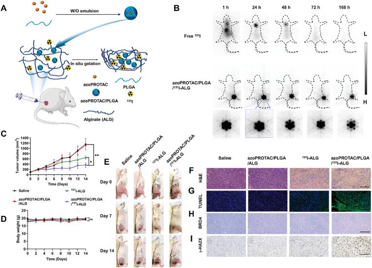 https://cdn.ncbi.nlm.nih.gov/pmc/blobs/2192/12355509/ba9369315830/gr2.jpg