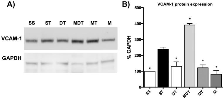https://cdn.ncbi.nlm.nih.gov/pmc/blobs/2194/3788795/f1955aea9014/pone.0075426.g007.jpg