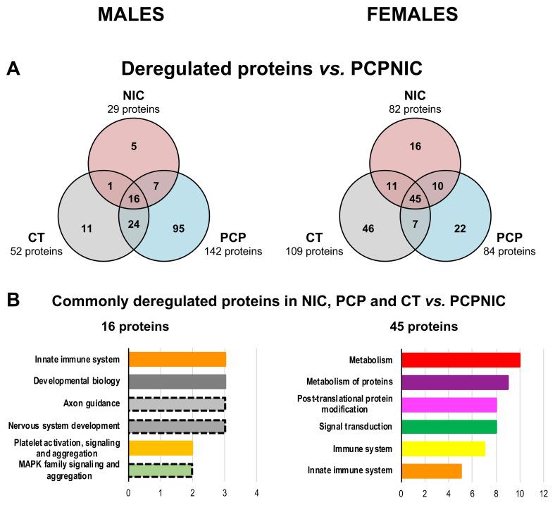 https://cdn.ncbi.nlm.nih.gov/pmc/blobs/2197/10572990/8a7384a08901/ijms-24-14634-g004.jpg