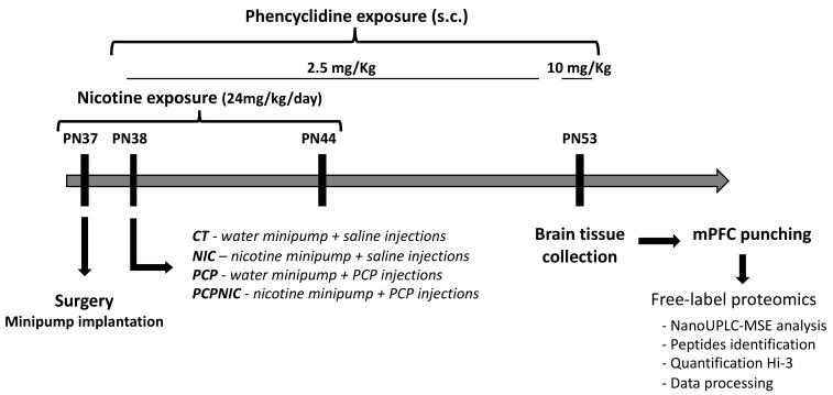 https://cdn.ncbi.nlm.nih.gov/pmc/blobs/2197/10572990/8c73b93741f7/ijms-24-14634-g006.jpg