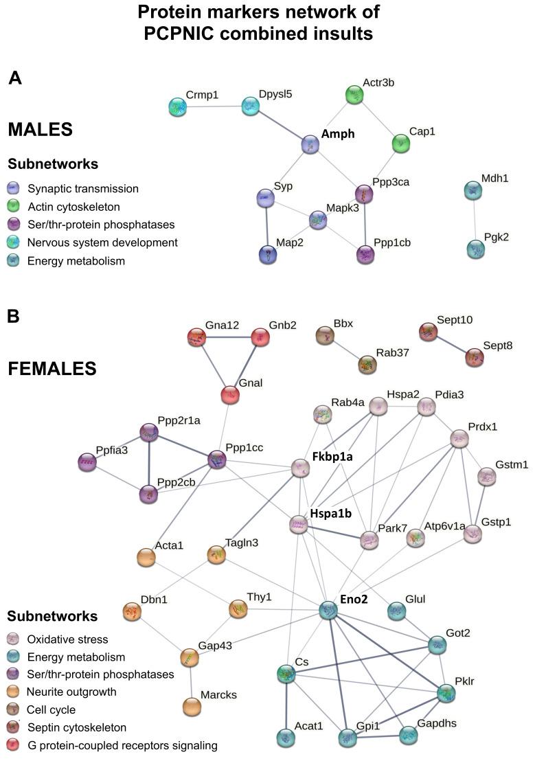 https://cdn.ncbi.nlm.nih.gov/pmc/blobs/2197/10572990/b1202904eb0e/ijms-24-14634-g005.jpg