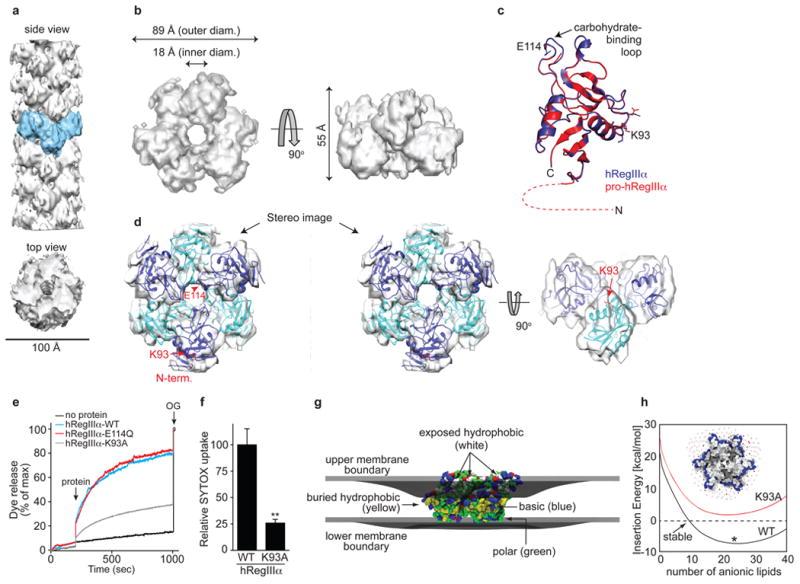 https://cdn.ncbi.nlm.nih.gov/pmc/blobs/2198/4160023/35952072cd84/nihms529119f13.jpg