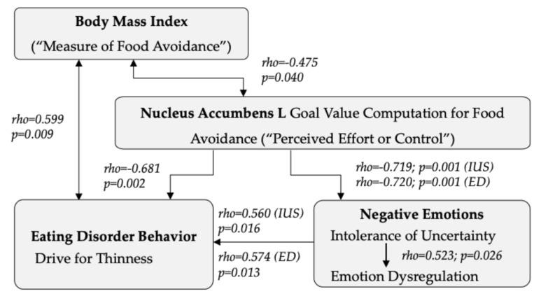 https://cdn.ncbi.nlm.nih.gov/pmc/blobs/2199/11434691/bbc02578a4cf/nutrients-16-03115-g003.jpg