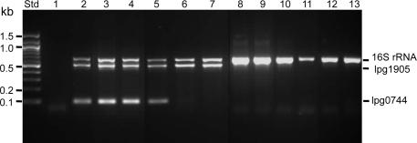 https://cdn.ncbi.nlm.nih.gov/pmc/blobs/2199/3109421/a89d628dfef9/fmicb-01-00123-g001.jpg