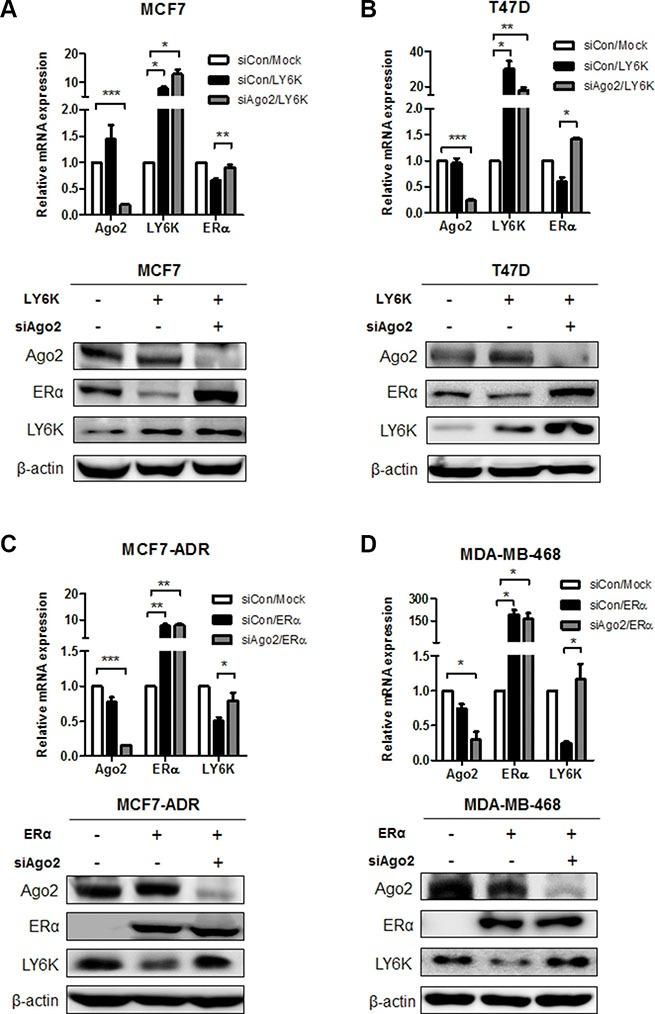 https://cdn.ncbi.nlm.nih.gov/pmc/blobs/219a/5173133/0dd992226bfa/oncotarget-07-42261-g002.jpg