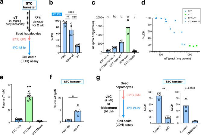https://cdn.ncbi.nlm.nih.gov/pmc/blobs/219a/8233303/13f0a48bd51e/42003_2021_2297_Fig4_HTML.jpg